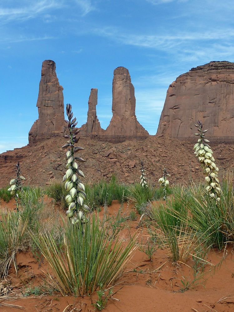 Monument valley (20).JPG